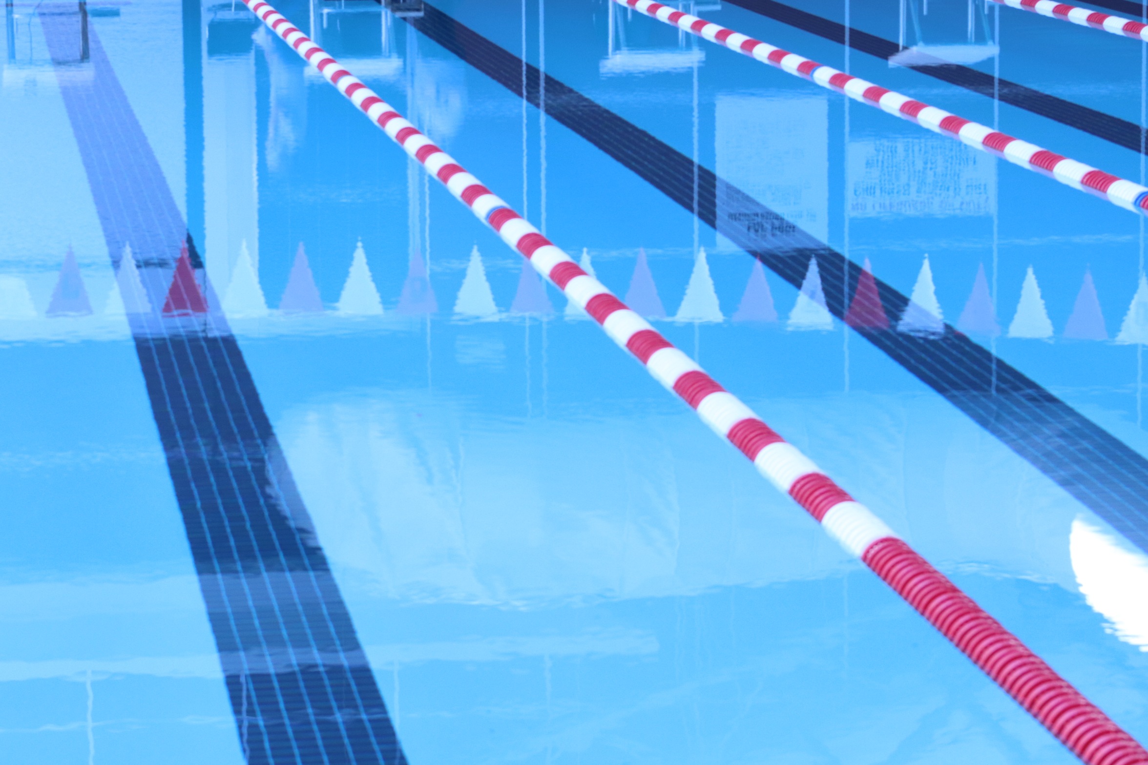 Lady Eagles Break Multiple Records at Principia Quad Meet