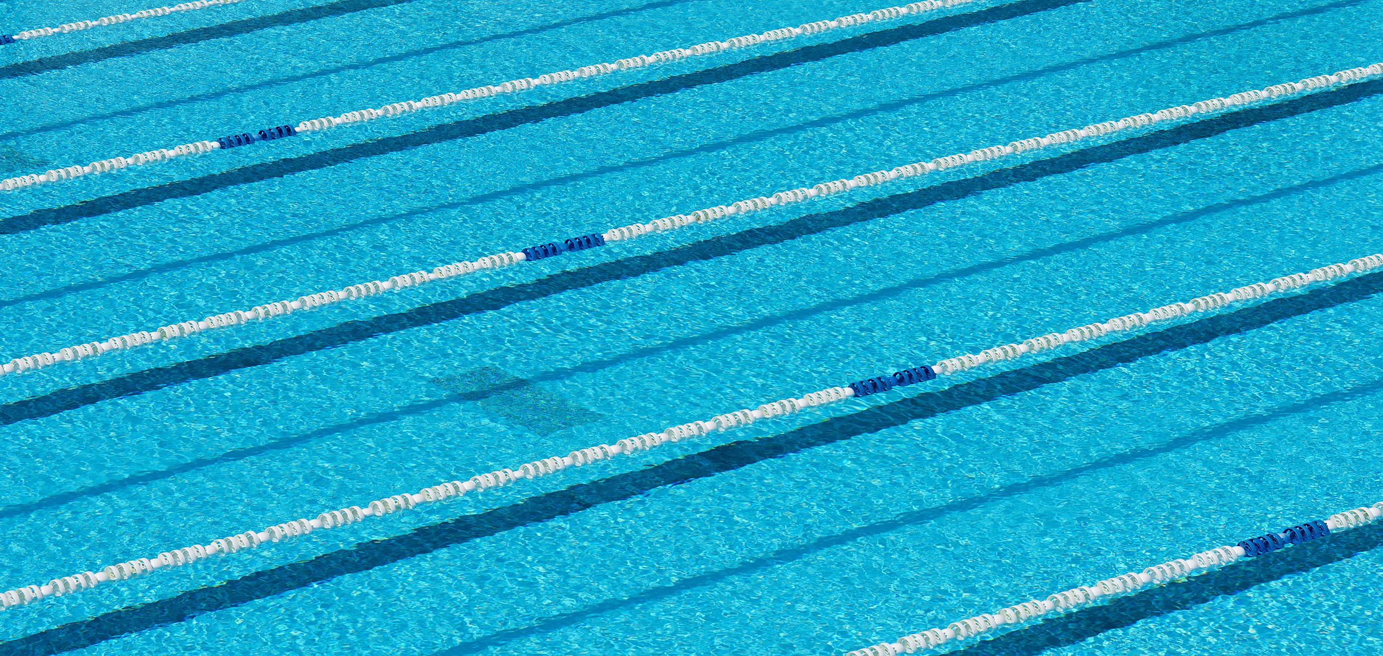 WBU Swim Team Competes in Hendrix Relays &amp; Classic