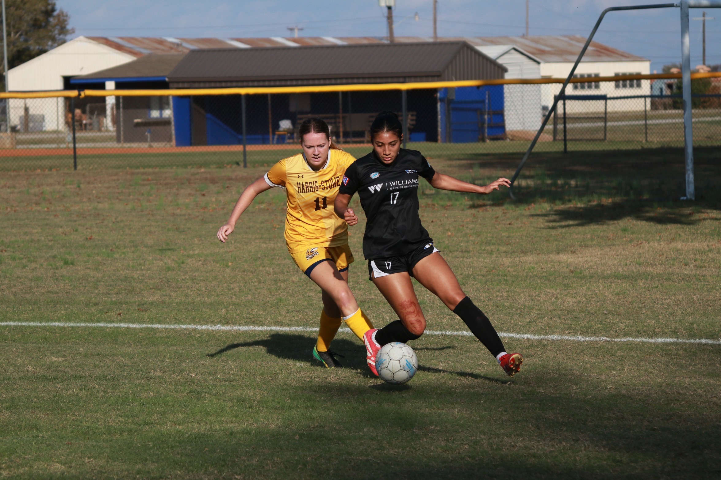Lady Eagles Fall in AMC Semifinal